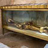 Si tratta di una teca trasparente con i relativi sostegni a forma di delfino posizionata sulla destra del museo...